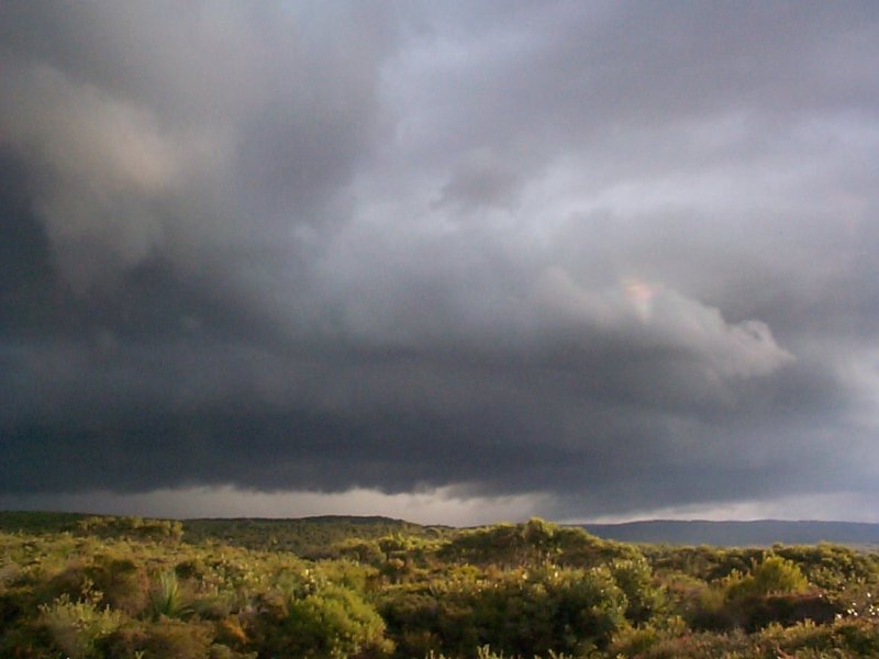 contributions received : Evans Head, NSW<BR>Photo by Halden Boyd   17 April 2000