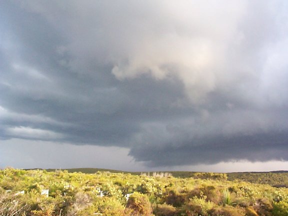 contributions received : Evans Head, NSW<BR>Photo by Halden Boyd   17 April 2000