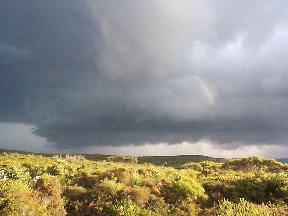 contributions received : Evans Head, NSW<BR>Photo by Halden Boyd   17 April 2000