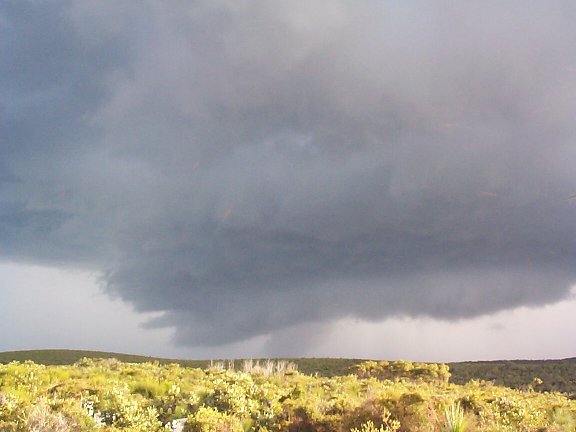 contributions received : Evans Head, NSW<BR>Photo by Halden Boyd   17 April 2000