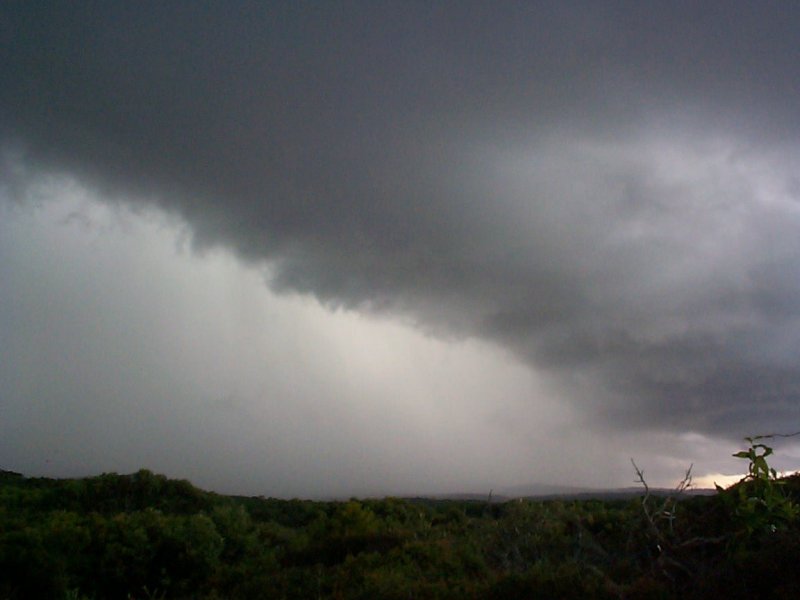 contributions received : Evans Head, NSW<BR>Photo by Halden Boyd   17 April 2000