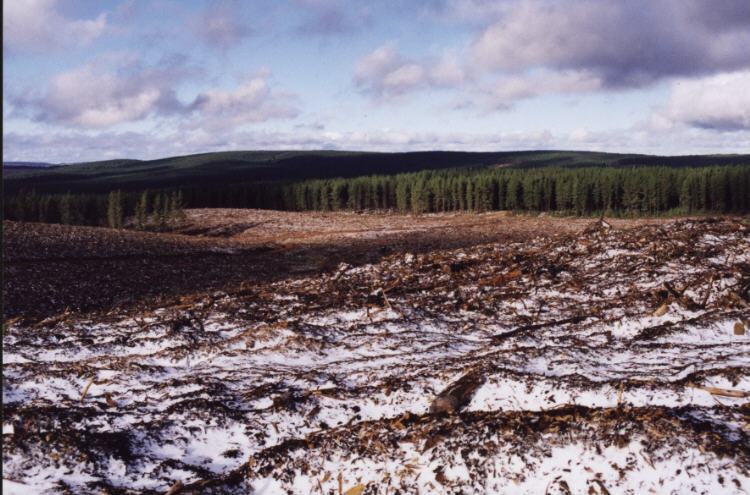 contributions received : Shooters Hill, NSW<BR>Photo by Jeff Brislane   27 May 2000