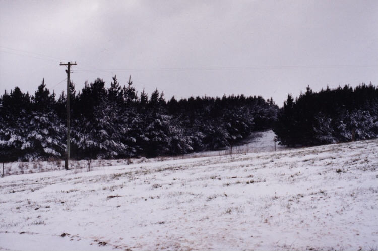 contributions received : Oberon, NSW<BR>Photo by Jeff Brislane   29 May 2000