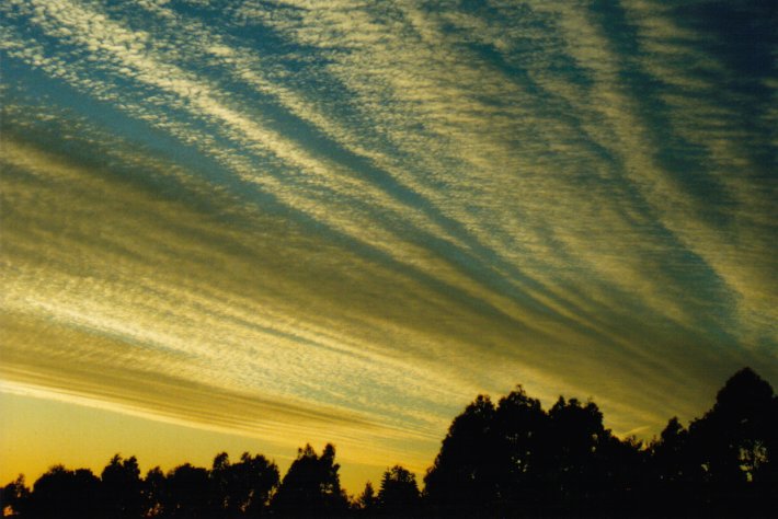 altocumulus undulatus : McLeans Ridges, NSW   30 May 2000