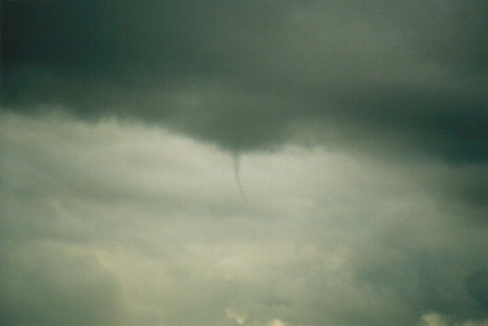 tornadoes funnel_tornado_waterspout : McLeans Ridges, NSW   16 June 2000