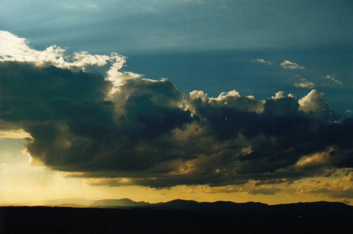 cumulus mediocris : McLeans Ridges, NSW   21 June 2000