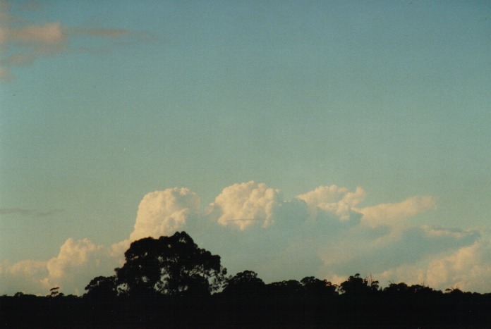 thunderstorm cumulonimbus_calvus : Schofields, NSW   29 June 2000