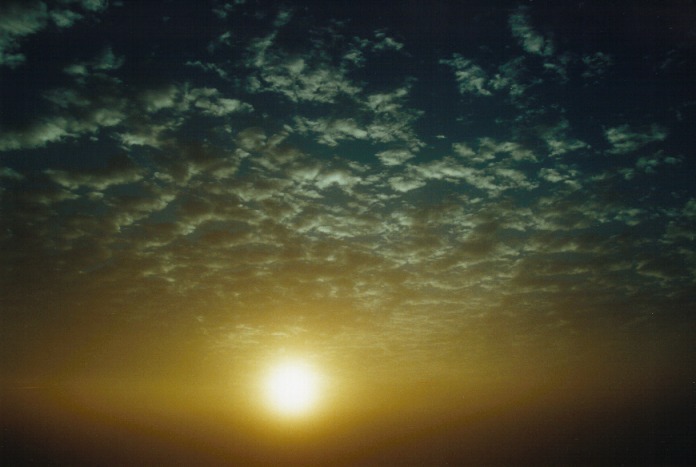 altocumulus mackerel_sky : Schofields, NSW   6 July 2000