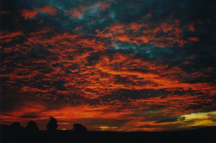 altocumulus altocumulus_cloud : McLeans Ridges, NSW   6 July 2000