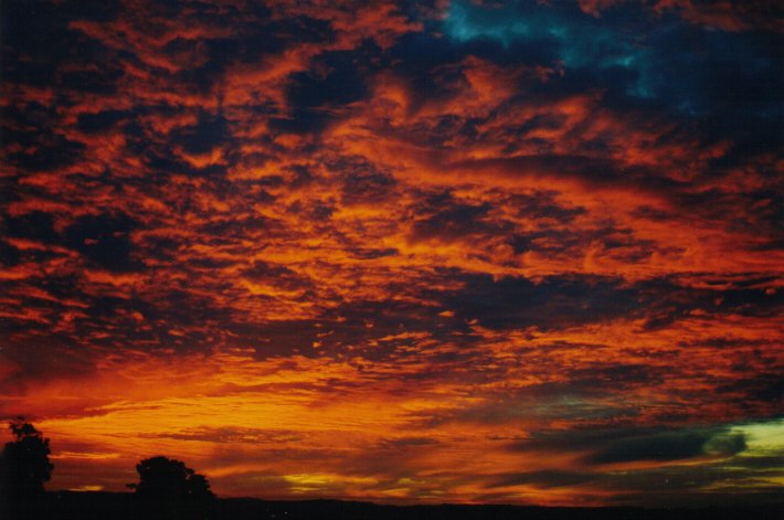 sunset sunset_pictures : McLeans Ridges, NSW   6 July 2000