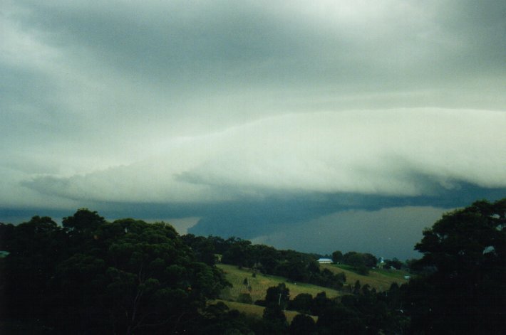 favourites michael_bath : McLeans Ridges, NSW   9 July 2000