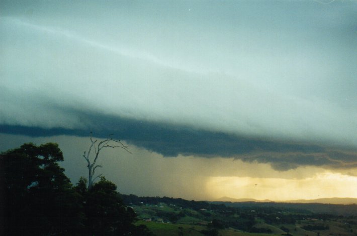 shelfcloud shelf_cloud : McLeans Ridges, NSW   9 July 2000