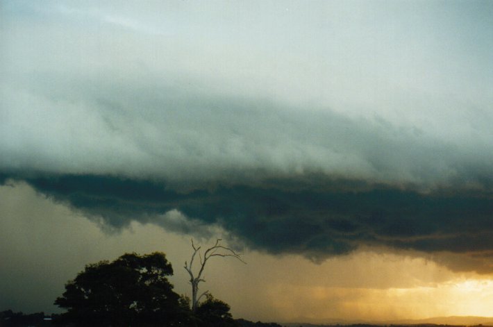 sunset sunset_pictures : McLeans Ridges, NSW   9 July 2000