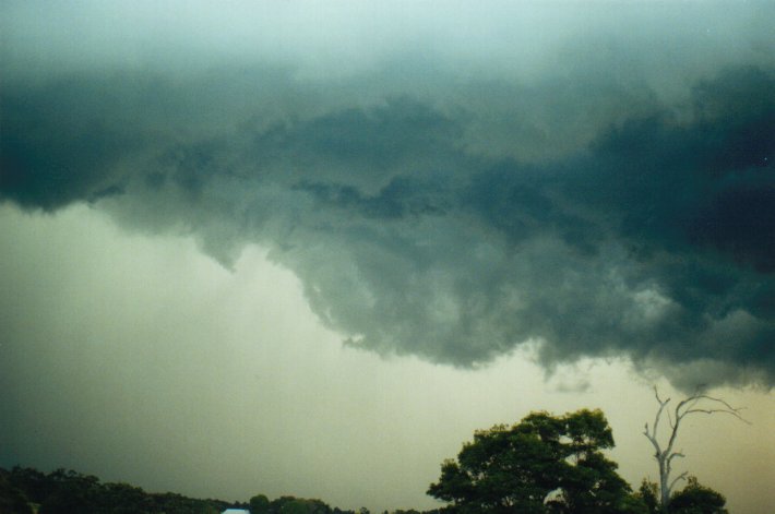 shelfcloud shelf_cloud : McLeans Ridges, NSW   9 July 2000