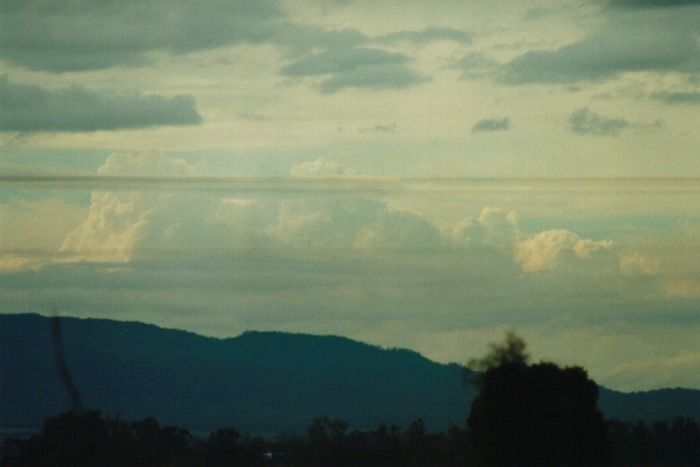 thunderstorm cumulonimbus_calvus : Gunnedah, NSW   10 July 2000