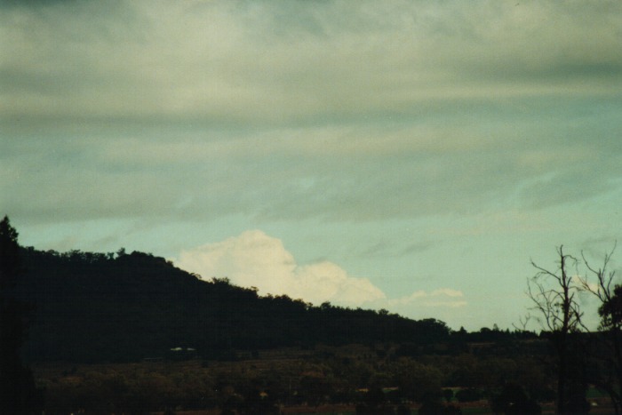 thunderstorm cumulonimbus_calvus : Gunnedah, NSW   10 July 2000