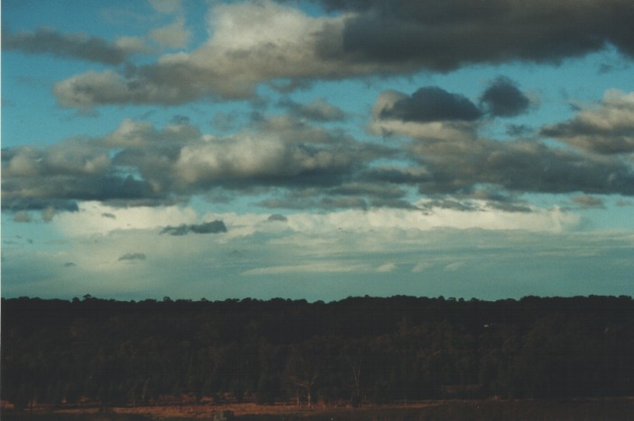 cumulus humilis : Schofields, NSW   19 July 2000