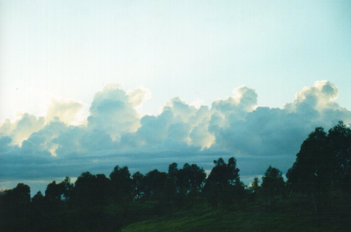 cumulus congestus : McLeans Ridges, NSW   3 August 2000