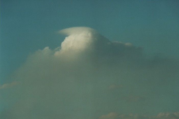 pileus pileus_cap_cloud : Schofields, NSW   19 August 2000