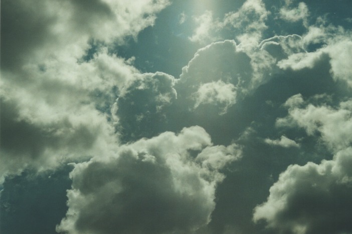 thunderstorm cumulonimbus_calvus : Howes Valley, NSW   20 August 2000