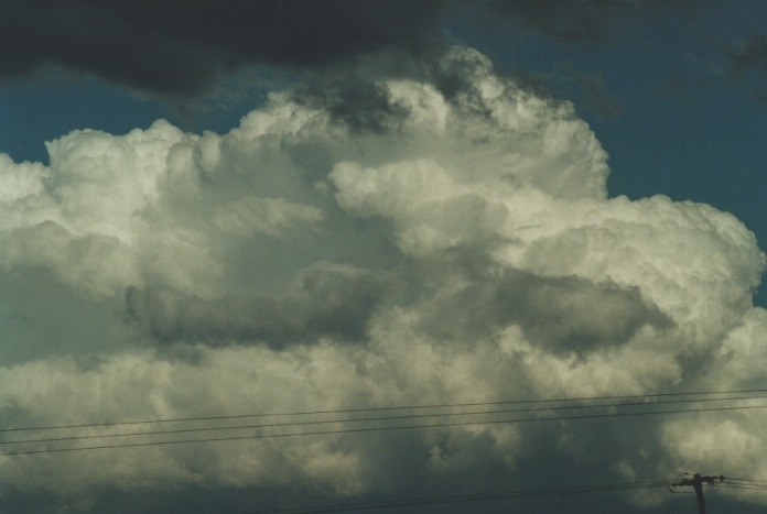 thunderstorm cumulonimbus_calvus : Muswellbrook, NSW   20 August 2000