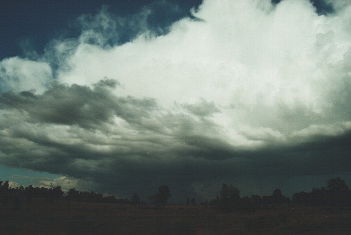 thunderstorm cumulonimbus_incus : Singelton, NSW   20 August 2000