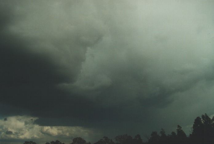 raincascade precipitation_cascade : Singelton, NSW   20 August 2000