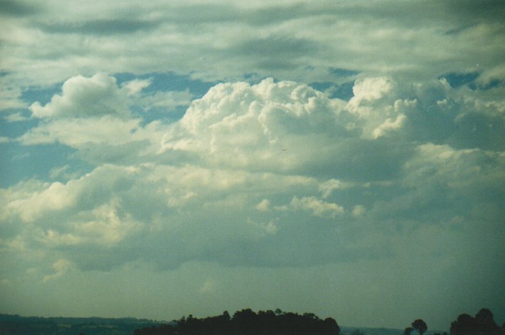 cumulus congestus : McLeans Ridges, NSW   23 August 2000