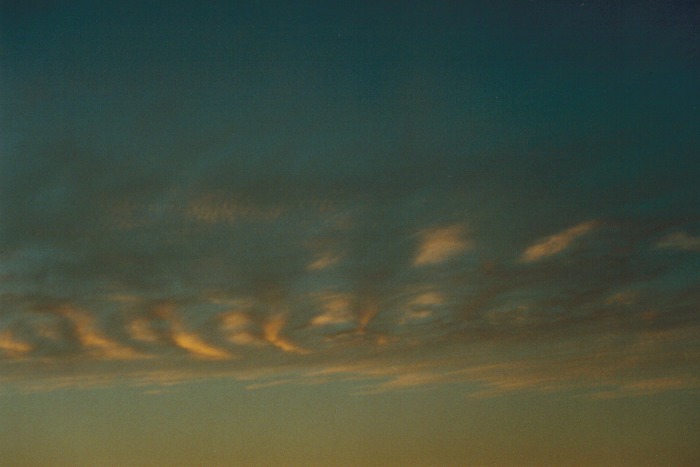 altocumulus undulatus : Schofields, NSW   6 September 2000