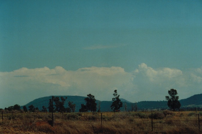 thunderstorm cumulonimbus_calvus : Gunnedah, NSW   21 September 2000