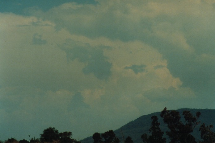 thunderstorm cumulonimbus_incus : Gunnedah, NSW   21 September 2000