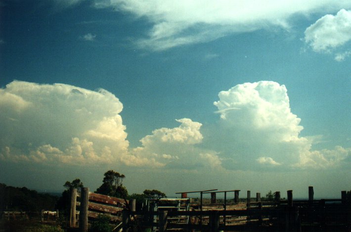 thunderstorm cumulonimbus_calvus : Tregeagle, NSW   27 September 2000