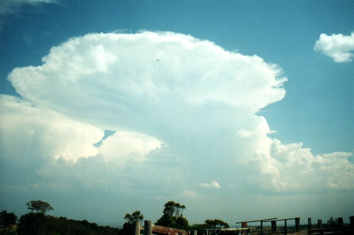 thunderstorm cumulonimbus_incus : Tregeagle, NSW   27 September 2000