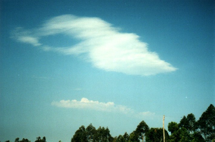 altocumulus castellanus : McLeans Ridges, NSW   30 September 2000