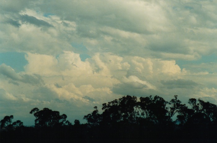 thunderstorm cumulonimbus_incus : Kemps Creek, NSW   19 October 2000