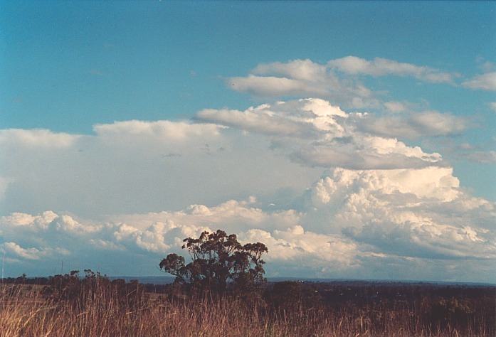 thunderstorm cumulonimbus_calvus : Kemps Creek, NSW   19 October 2000