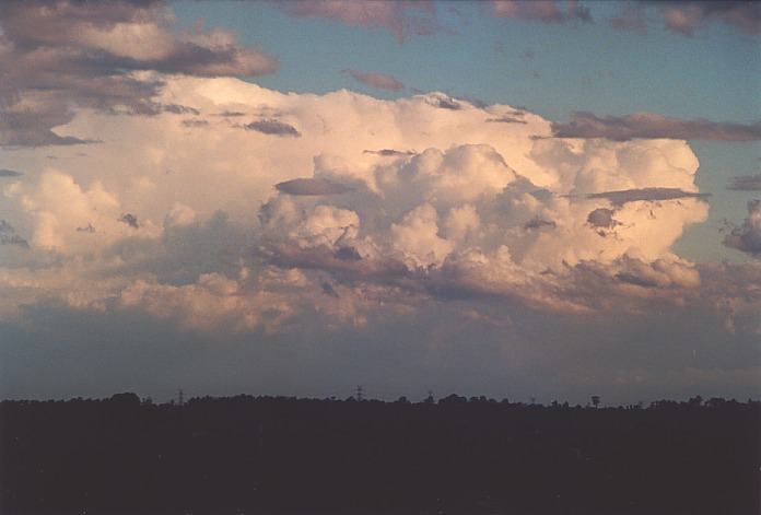 cumulus congestus : Kemps Creek, NSW   19 October 2000