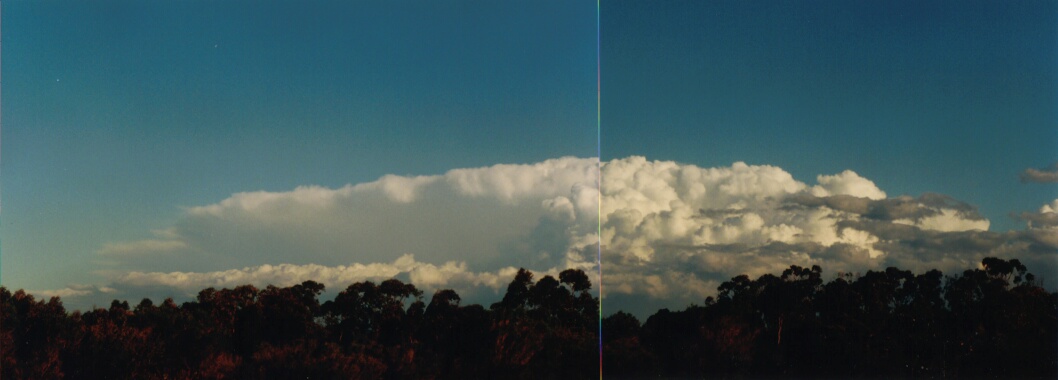 contributions received : Wollongong, NSW<BR>Photo by Mario Orazem   19 October 2000