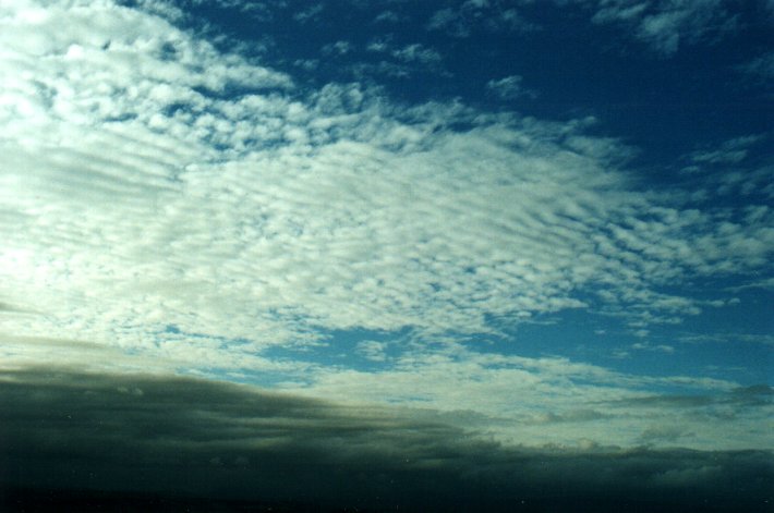 altocumulus undulatus : McLeans Ridges, NSW   23 October 2000