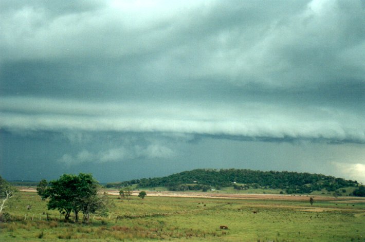 cumulonimbus thunderstorm_base : Meerschaum Vale, NSW   25 October 2000