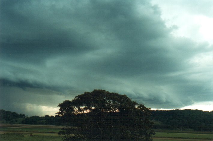 shelfcloud shelf_cloud : Meerschaum Vale, NSW   25 October 2000