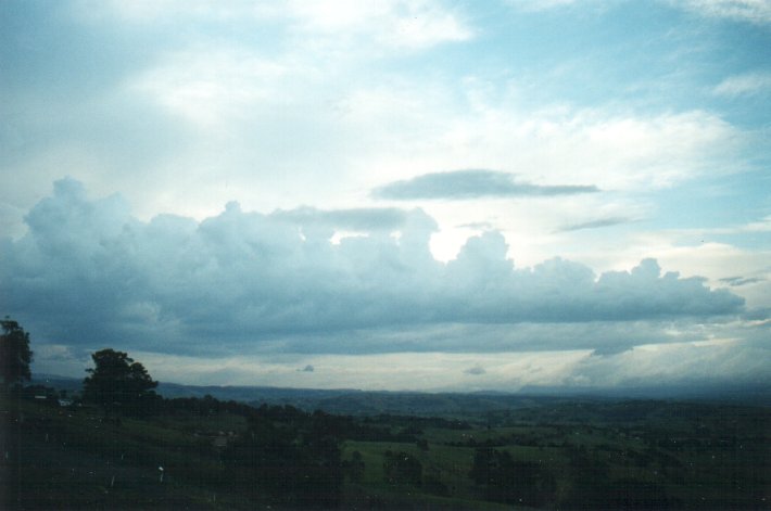 cumulus congestus : McLeans Ridges, NSW   25 October 2000