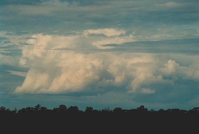 thunderstorm cumulonimbus_calvus : Schofields, NSW   26 October 2000