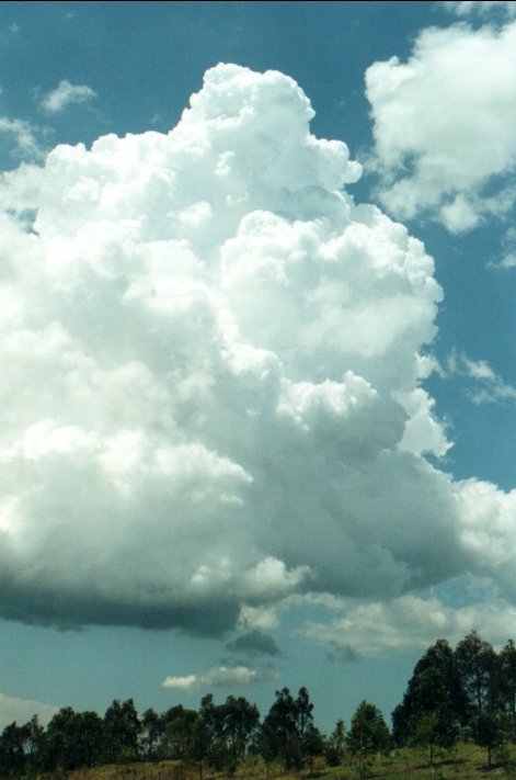 cumulus congestus : McLeans Ridges, NSW   26 October 2000