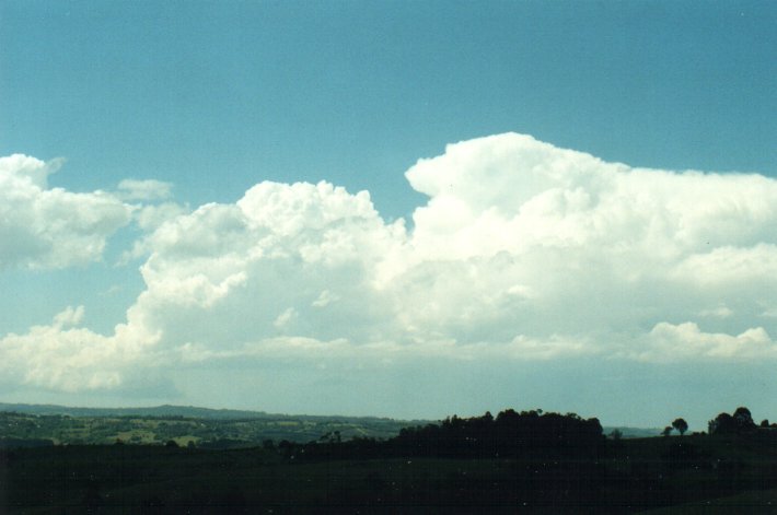 thunderstorm cumulonimbus_incus : McLeans Ridges, NSW   26 October 2000