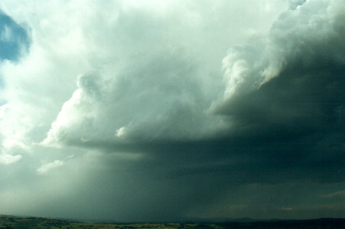 raincascade precipitation_cascade : McLeans Ridges, NSW   26 October 2000