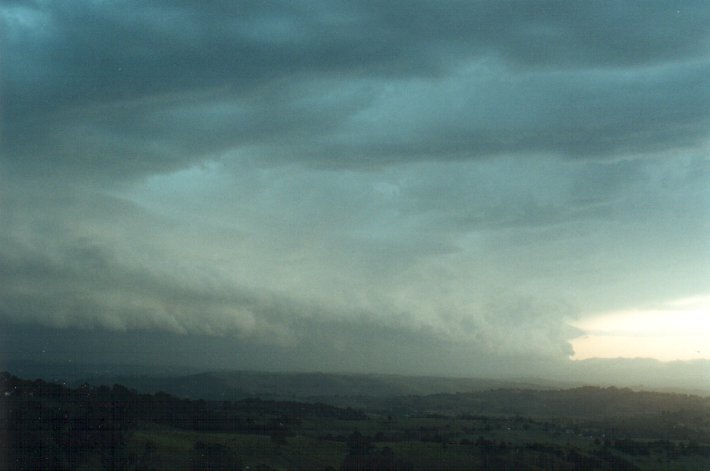 favourites michael_bath : McLeans Ridges, NSW   26 October 2000