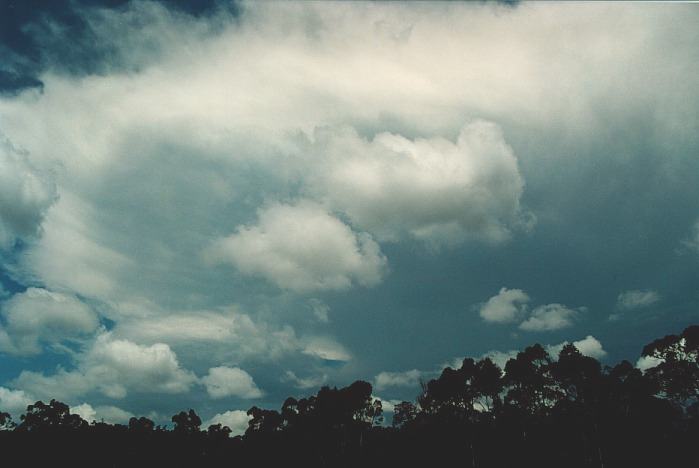 cumulus humilis : N of Colo Heights, NSW   3 November 2000