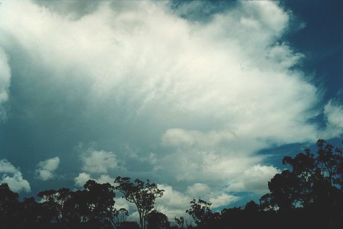 thunderstorm cumulonimbus_incus : N of Colo Heights, NSW   3 November 2000