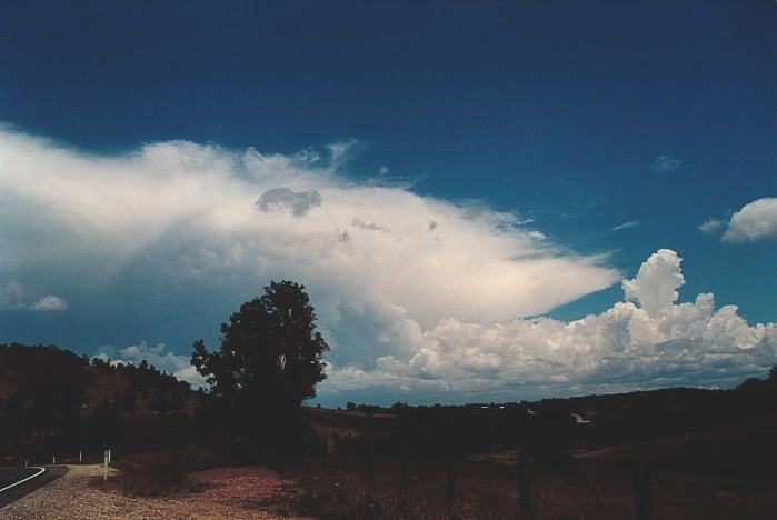 cumulus congestus : Howes Valley, NSW   3 November 2000